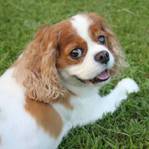 Meet your Posher, Angel brandi sue